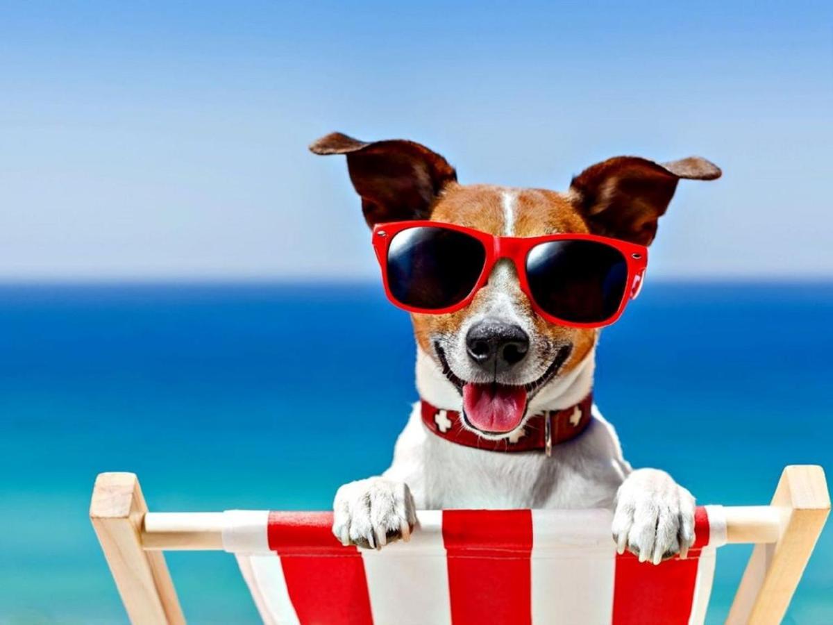 Fabulous 2 Bedroom Dog Friendly Chalet 5 Min Walk To Beach, Nr Gt Yarmouth & Norfolk Broads Scratby Eksteriør billede